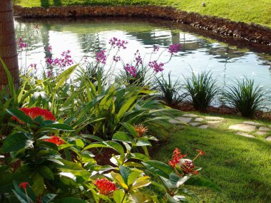 Dere ve çiçekler ile güzel bahçe