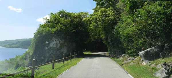 熱帯の島の木々と厚い葉のトンネルに通じる沿岸道路 — ストック写真
