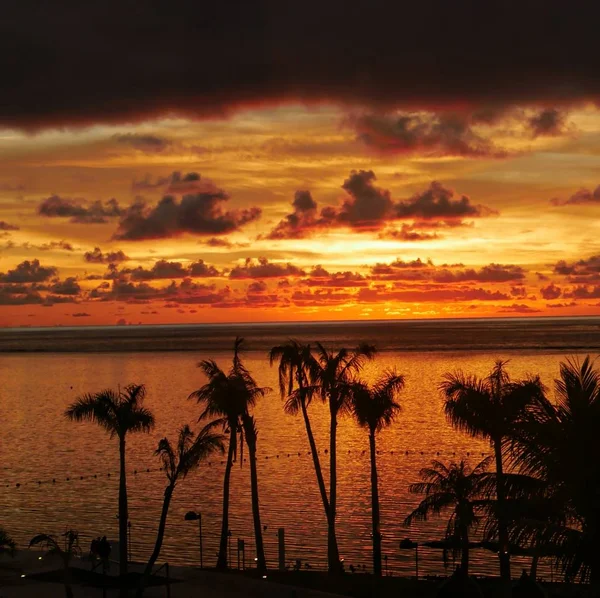 Gün batımında tropik bir plajda palmiye ağaçlarının silueti, alevli gökyüzü ile