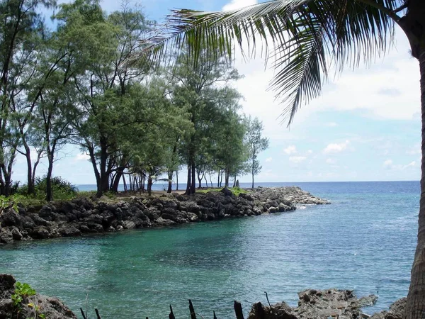 热带天堂海岸有树木的小海湾和清澈的蓝色海水的海岸景色 — 图库照片