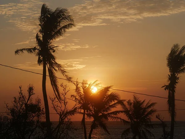 Солнце Садится Над Вершинами Кокосовых Пальм Пляже Электрической Линией Пересекающей — стоковое фото