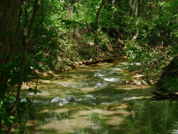 Yemyeşil bir ormanla çevrili suda dalgalar yaratan serin dere
