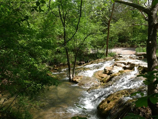 Yemyeşil bir ormanda bir dere de akan tatlı serin su