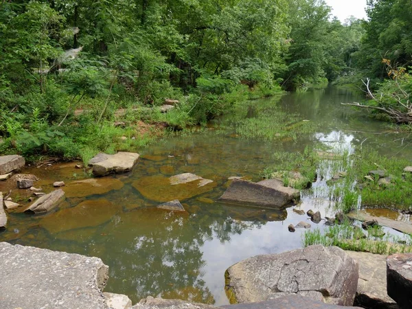 Bir ormanda çok yavaş akan su ile Akarsu