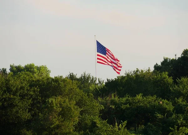 Vlajky Spojených Států Plující Vzduchem Hustými Křovinami Listím Popředí — Stock fotografie