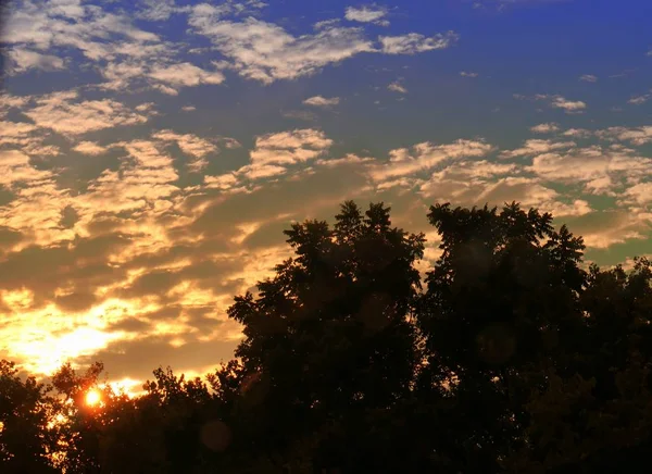 Sílhuetas Pôr Sol Árvores Com Nuvens Incríveis Fundo — Fotografia de Stock