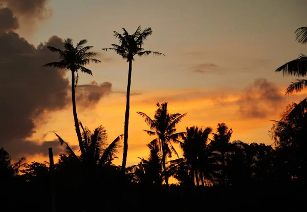 Gün batımında palmiye ağaçlarının siluetleri, arka planda güzel yanan bulutlar ile 