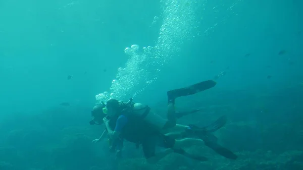 Guam Usa Wide Shot Divers Exploring Underwater Wonders Fish Eye — Stock Photo, Image
