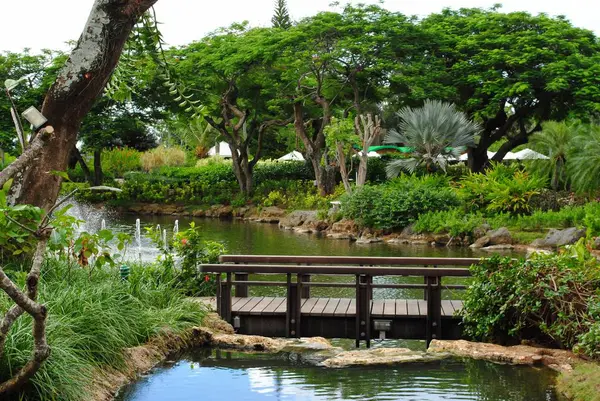 Yeşil ağaçlar ve çalılarla döşenmiş bahçedeki iki gölet arasında tahta köprü.