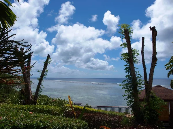 Tropik bir plajda okyanusa bakan yazlık bir bahçe manzara