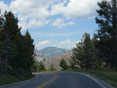 Yellowstone Ulusal Parkı 'nda, Wyoming' de asfalt yollarda pürüzsüz sürüş.
