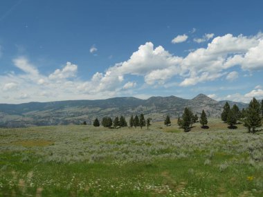 Wyoming 'deki Yellowstone Ulusal Parkı' nın güzel manzarası..