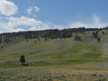 Yellowstone 'da Hayden Vadisi' nin yukarısında manzaralı yamaçlar ve tepe
