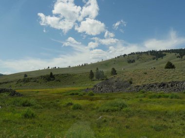 Hayden Vadisi 'nin yemyeşil bulutları...