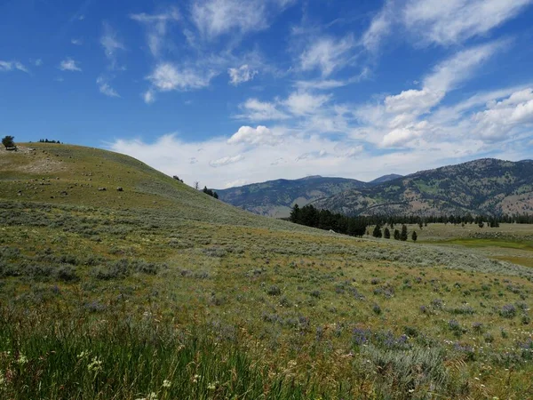 Dech beroucí scenérie a pohled na přírodu v Yellowstone National Par — Stock fotografie