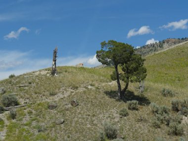 Yellowstone Na 'da Montana sınırına yakın kesilmiş dağları.