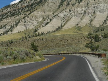 Wyoming 'deki Yellowstone Ulusal Parkı' nda aşağı doğru virajlı yol.