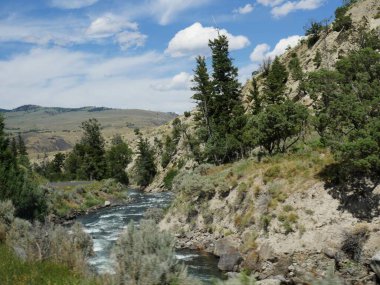 Yellowstone Nehri 'nin aktığı kayalık bir dağ manzarası