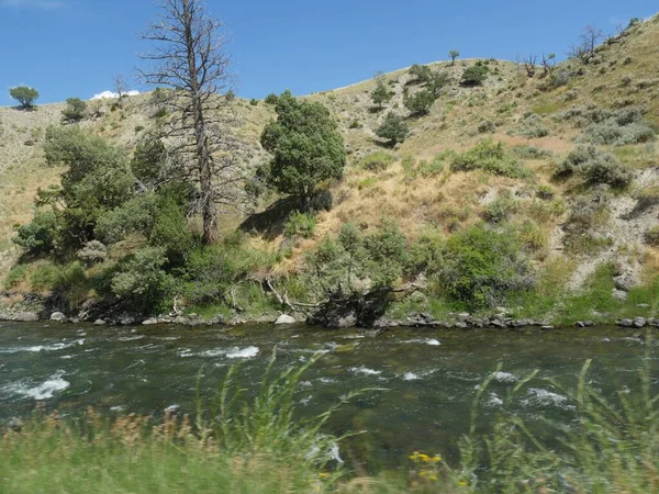 Yellowstone River flowing along the road and right next to a roc — Stock Photo, Image