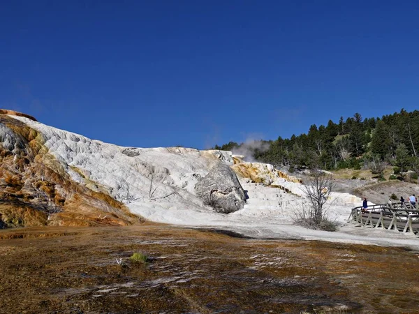 Wyoming, USA--July 2018: Wide view of Mammoth Hot Springs, one o — Stock Photo, Image