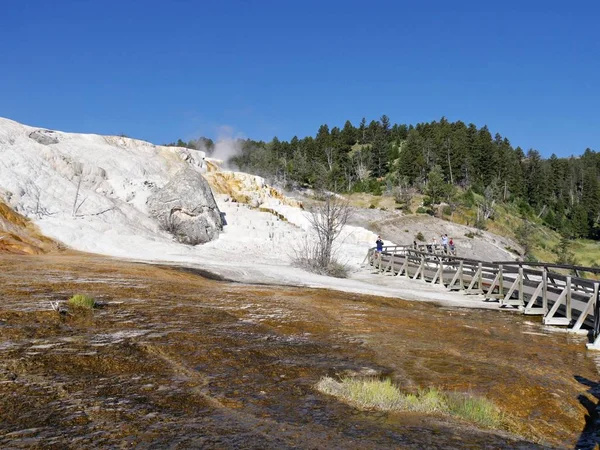 Wyoming, USA--July 2018: Mammoth Hot Springs, one of the must-no — Stock Photo, Image