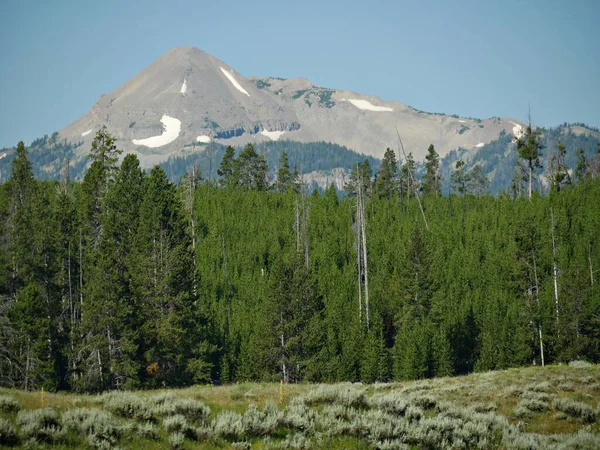 Primer plano de bosques gruesos con nieve en montañas distantes a —  Fotos de Stock