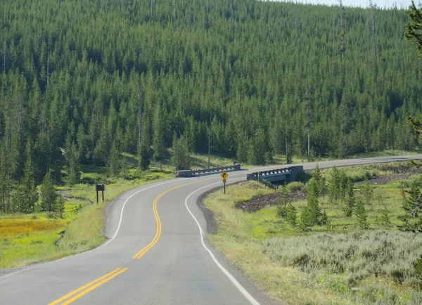 Route sinueuse avec un pont au parc national Yellowstone, Wyoming — Photo