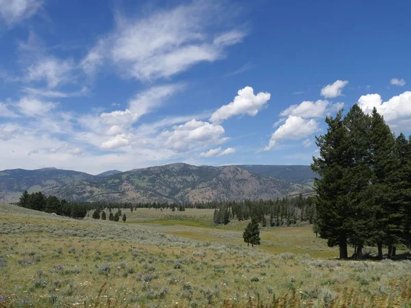 Scénický pohled na Haydenské údolí v Yellowstonském národním parku — Stock fotografie