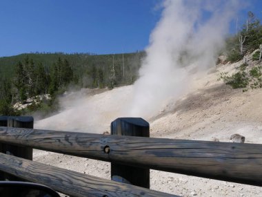 Yellowstone National yolundaki gayzerlerden buhar yükseliyor. 