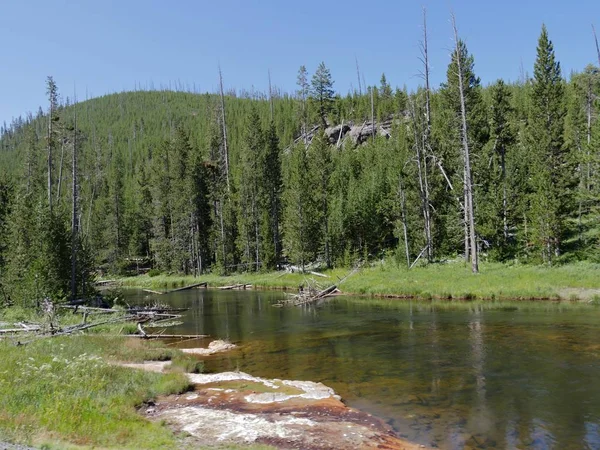 Aguas cristalinas del río Yellowstone en el Parque Nacional de Yellowstone , —  Fotos de Stock