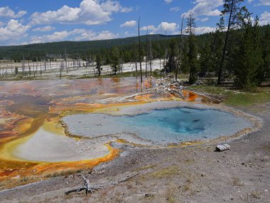 Aşağı Gayzer Havzası 'nda kaynayan mavi Celestine Havuzu' nun açık gökyüzü Yellowstone Ulusal Parkı, Wyoming.