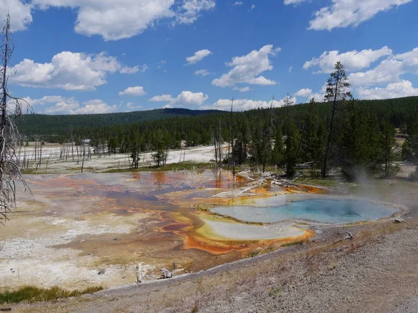 Celestine Pool Alsó Geyser Basin Tiszta Égbolttal Yellowstone Nemzeti Park — Stock Fotó