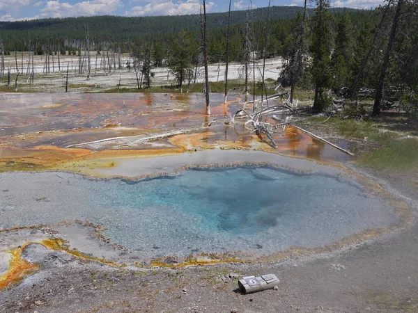 Közepes Közeli Felvétel Celestine Pool Alsó Geyser Basin Tiszta Yellowstone — Stock Fotó