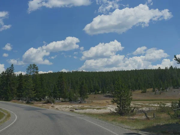 Krásné Mraky Nad Borovicovými Lesy Yellowstonském Národním Parku — Stock fotografie