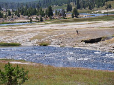  Sıcak pınarlardan ve gayzerlerden akan sular Yellowstone Ulusal Parkı, Wyoming 'deki derelere akar..