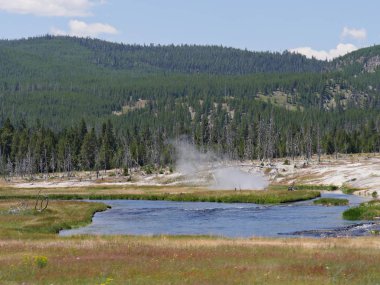Yellowstone Ulusal Parkı, Wyoming 'deki gayzerlerden yükselen buharla Yukarı Gayzer Havzası manzarası.