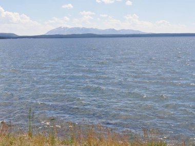 Yellowstone Gölü 'nün ortalarında Yellowstone Ulusal Parkı, Wyoming, Usa' da kır çiçekleriyle çevrili..