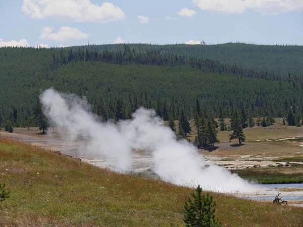Vapor Sube Desde Cuenca Del Géiser Superior Parque Nacional Yellowstone — Foto de Stock
