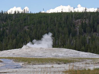 Old Faithful gayzer Yellowstone Ulusal Parkı, Wyoming 'de püskürmeye başladığında orta büyüklükte buhar yükseliyor..