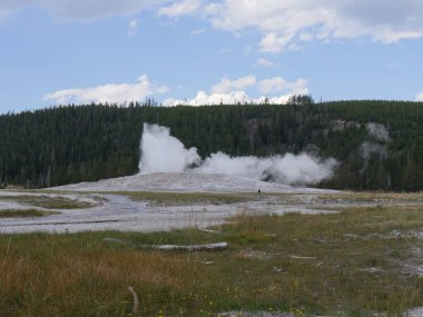 Wyoming 'deki Yellowstone Ulusal Parkı' nda 1870 yılında Washburn Seferi tarafından keşfedilen Eski Sadık gayzerden buhar ve kaynar su fışkırır..