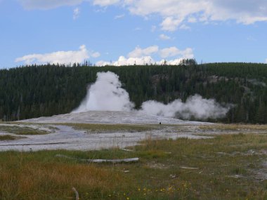 Washburn Seferi tarafından 1870 'te keşfedilen eski sadık gayzer Yellowstone Ulusal Parkı, Wyoming' in en popüler yerlerinden biridir..