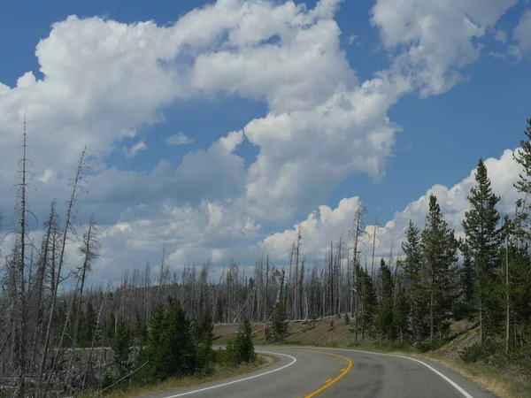 Magnifiques Nuages Dans Ciel Dessus Une Route Sinueuse Avec Jeunes — Photo