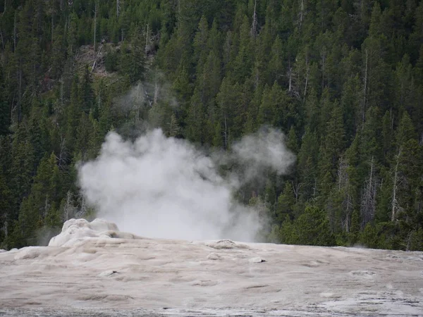 Steam Rises Old Faithful Geyser Starts Erupt Yellowstone National Park — Stock Photo, Image