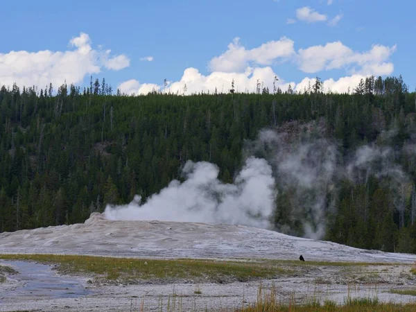 Old Faithful Geyser Upper Geyser Basin Fue Descubierto Por Expedición — Foto de Stock