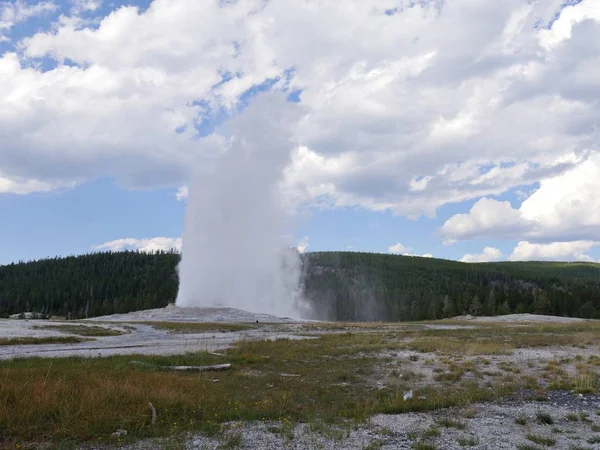 Eye Popping Show Scalding Water Steam Spewing Out Old Faithful — Stock Photo, Image