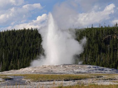 Wyoming 'deki Yellowstone Ulusal Parkı' nda sabah erken saatlerde meydana gelen patlamada Eski Sadık gayzerden kaynar su ve buhar fışkırıyor..