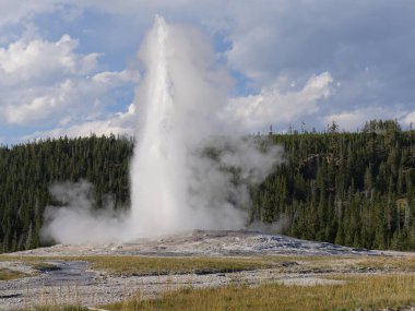 Wyoming 'deki Yellowstone Ulusal Parkı' nda sabah erken saatlerde meydana gelen patlamada Eski Sadık gayzerden kaynar su ve buhar fışkırıyor..