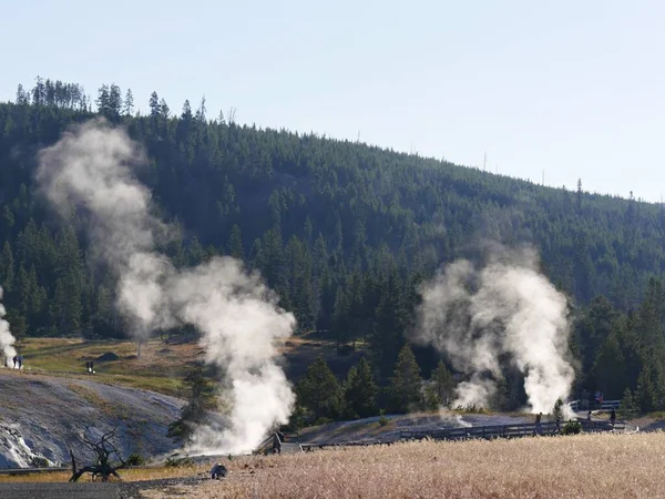 Wyoming Julio 2018 Arroyo Vomita Desde Géiseres Cuenca Superior Del — Foto de Stock