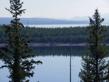Çam ağaçlarının yanındaki Yellowstone Gölü manzarası nefes kesici. Yellowstone Ulusal Parkı, Wyoming.
