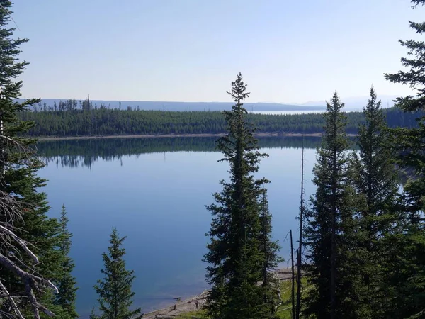 Lake Yellowstone Com Pinheiros Verdejantes Margem Lago Parque Nacional Yellowstone — Fotografia de Stock